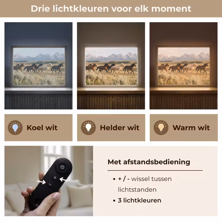 Paarden - Kudde - Bergen - Vrijheid - Wild Light Box met batterij (Wandlamp) middel -USP_lichtkleurNL