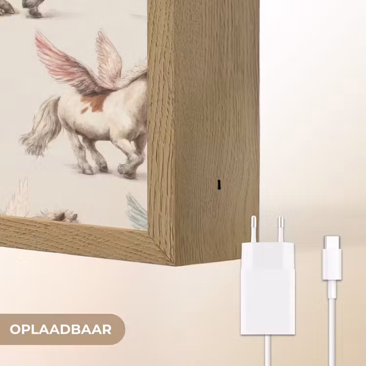 Paarden - Vleugels - Kleurrijk Light Box met batterij (Wandlamp) middel 907 -USP_websiteoplaadbaarNL