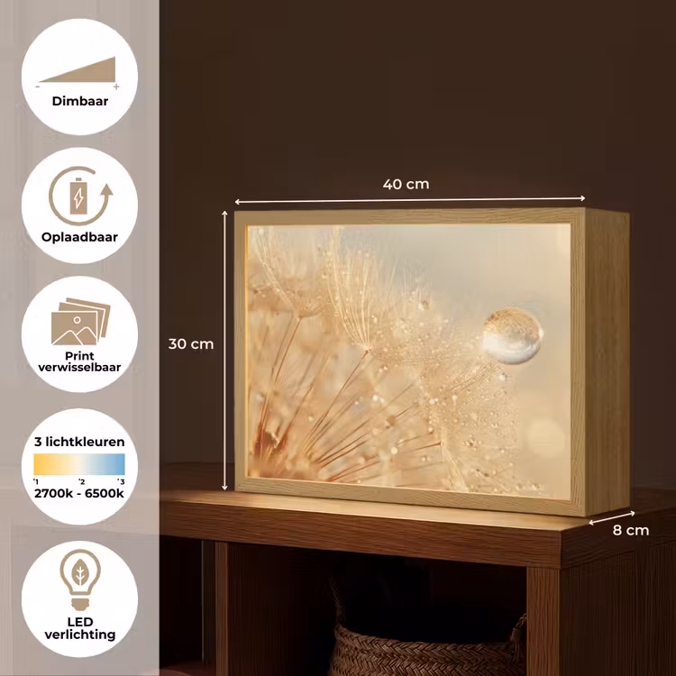 Paardenbloem - Water - Natuur - Planten - Modern Light Box met batterij (Wandlamp) middel -USP_websiteoverzichtNL