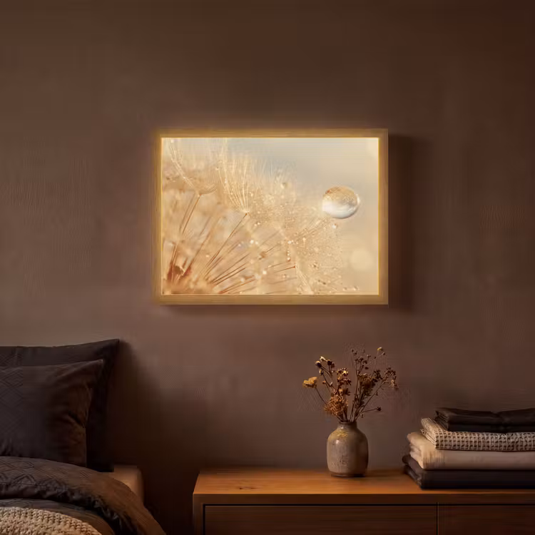 Paardenbloem - Water - Natuur - Planten - Modern Light Box met batterij (Wandlamp) middel -sfeer4