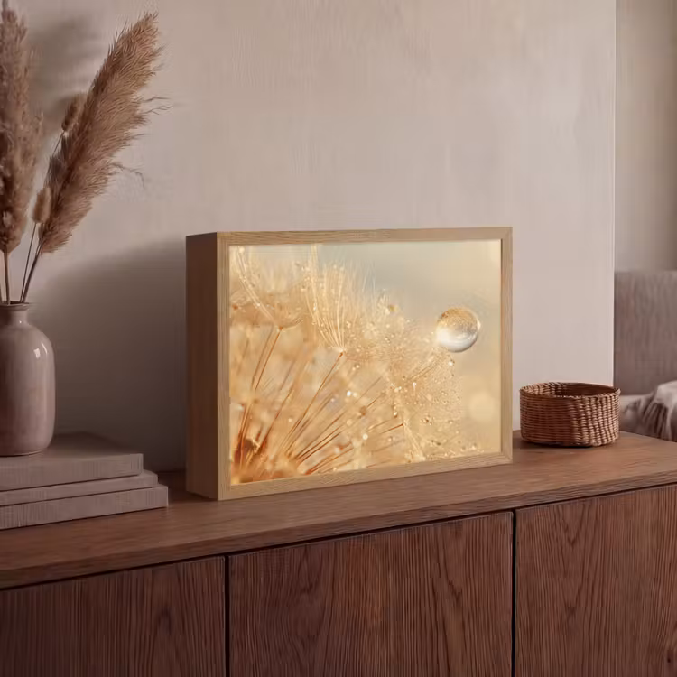 Paardenbloem - Water - Natuur - Planten - Modern Light Box met batterij (Wandlamp) middel -sfeer2
