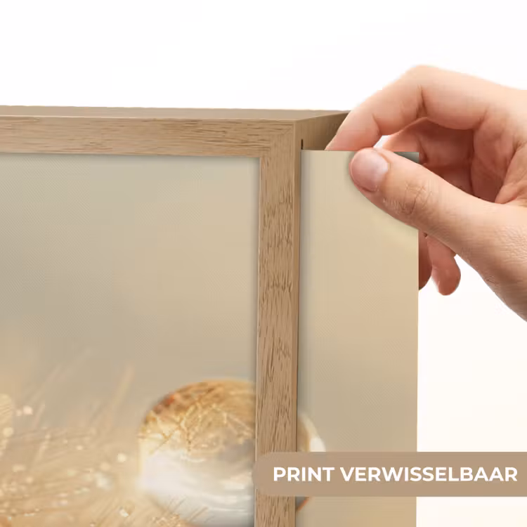 Paardenbloem - Water - Natuur - Planten - Modern Light Box met batterij (Wandlamp) middel -USP_websiteprintNL