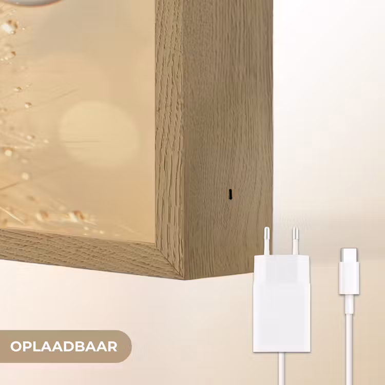 Paardenbloem - Water - Natuur - Planten - Modern Light Box met batterij (Wandlamp) middel -USP_websiteoplaadbaarNL