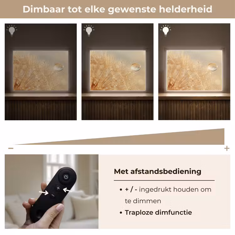 Paardenbloem - Water - Natuur - Planten - Modern Light Box met batterij (Wandlamp) middel -USP_dimbaarNL
