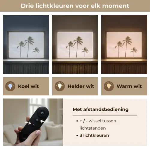 Palmbomen - Zonsondergang - Roze Light Box met batterij (Wandlamp) middel -USP_lichtkleurNL
