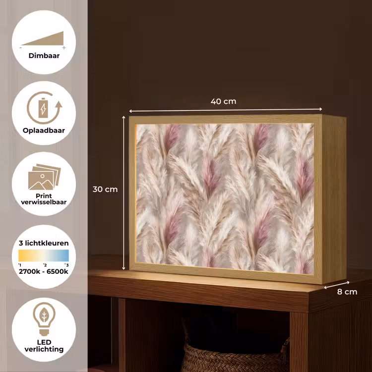 Pampasgras - Pluizig - Kleurrijk Light Box met batterij (Wandlamp) middel 907 -USP_websiteoverzichtNL