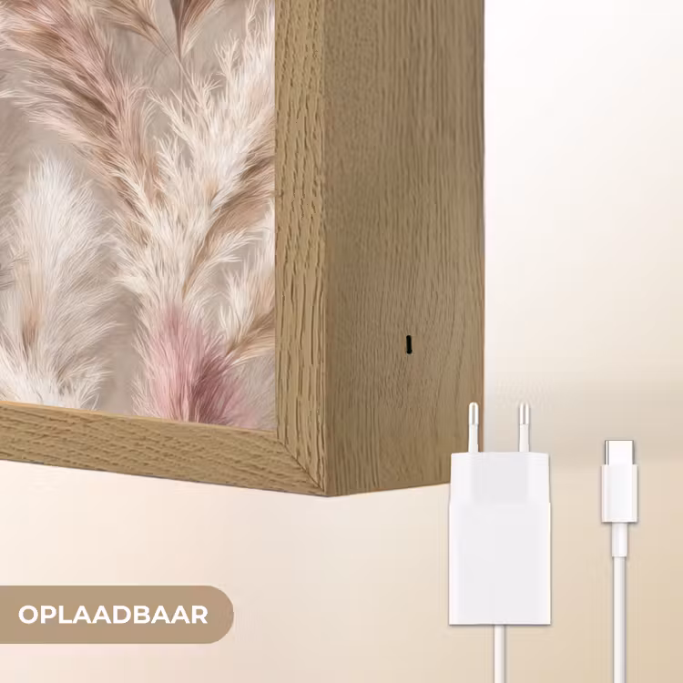 Pampasgras - Pluizig - Kleurrijk Light Box met batterij (Wandlamp) middel 907 -USP_websiteoplaadbaarNL