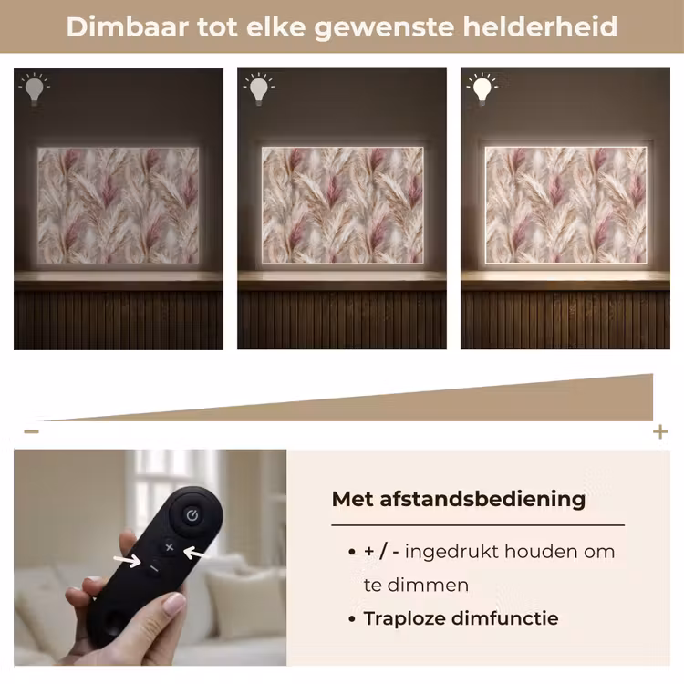 Pampasgras - Pluizig - Kleurrijk Light Box met batterij (Wandlamp) middel 907 -USP_dimbaarNL