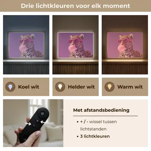 Panter - Zonnebril - Kauwgombel - Roze Light Box met batterij (Wandlamp) middel -USP_lichtkleurNL