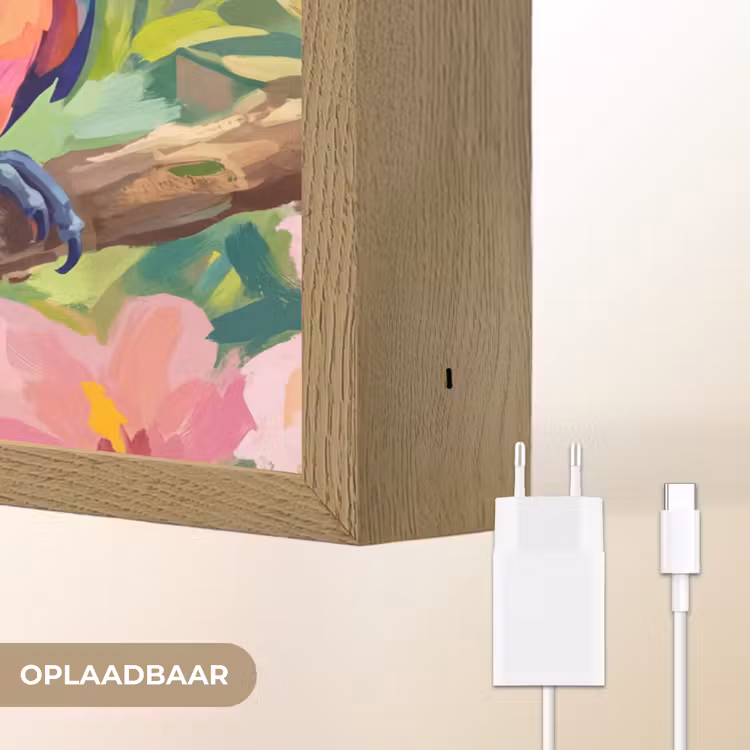 Papagaai - Hibiscusbloemen - Kleurrijk Light Box met batterij (Wandlamp) middel -USP_websiteoplaadbaarNL