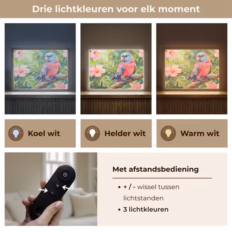 Papagaai - Hibiscusbloemen - Kleurrijk Light Box met batterij (Wandlamp) middel -USP_lichtkleurNL