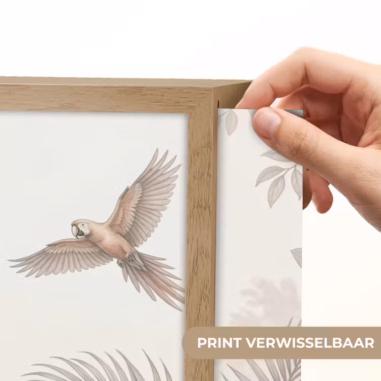 Papagaai - Jungle - Tropisch Light Box met batterij (Wandlamp) middel -USP_websiteprintNL