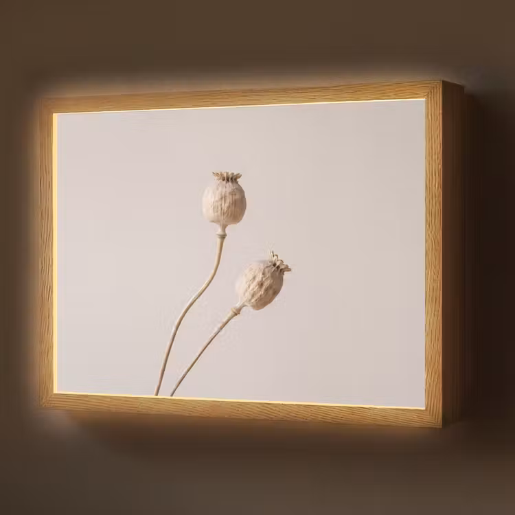 Papaverbollen - Droogbloemen - Minimalistisch - Beige - Rustig Light Box met batterij (Wandlamp) middel -z3d_website