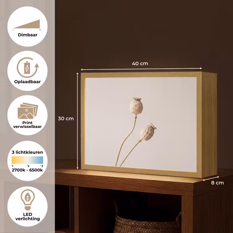 Papaverbollen - Droogbloemen - Minimalistisch - Beige - Rustig Light Box met batterij (Wandlamp) middel -USP_websiteoverzichtNL