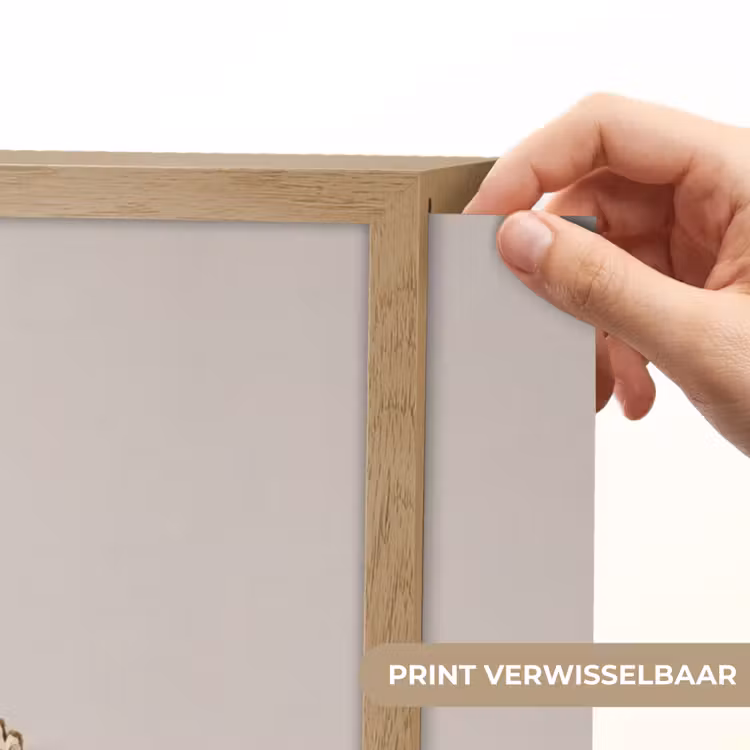 Papaverbollen - Droogbloemen - Minimalistisch - Beige - Rustig Light Box met batterij (Wandlamp) middel -USP_websiteprintNL