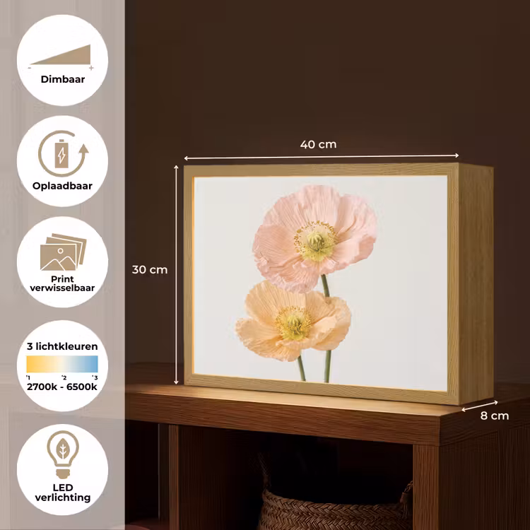 Papavers - Botanisch - Roze Light Box met batterij (Wandlamp) middel -USP_websiteoverzichtNL