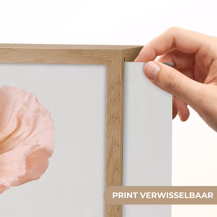 Papavers - Botanisch - Roze Light Box met batterij (Wandlamp) middel -USP_websiteprintNL