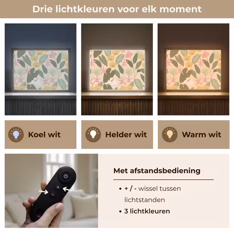 Patroon - Bloemen - Kleurrijk Light Box met batterij (Wandlamp) middel -USP_lichtkleurNL