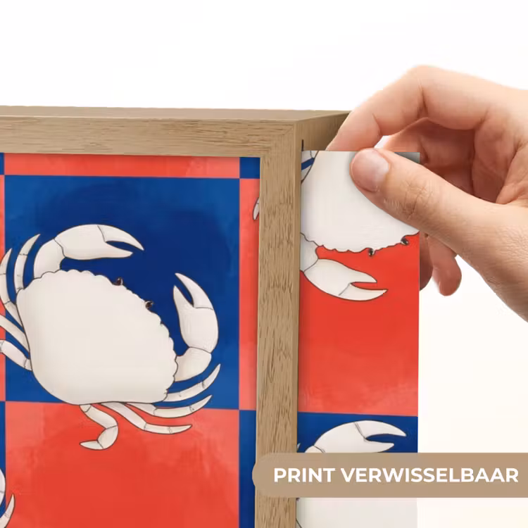 Patroon - Zeeleven - Rood - Blauw - Abstract Light Box met batterij (Wandlamp) middel -USP_websiteprintNL