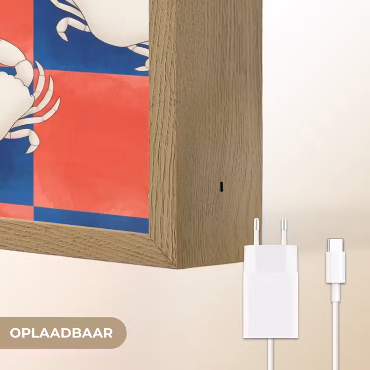 Patroon - Zeeleven - Rood - Blauw - Abstract Light Box met batterij (Wandlamp) middel -USP_websiteoplaadbaarNL