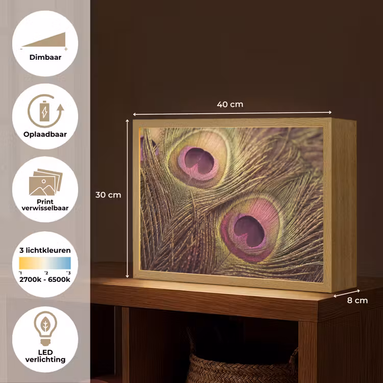 Pauw - Veren - Paars - Groen Light Box met batterij (Wandlamp) middel -USP_websiteoverzichtNL