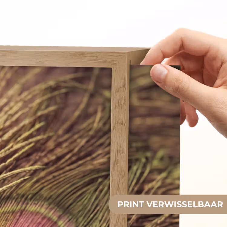 Pauw - Veren - Paars - Groen Light Box met batterij (Wandlamp) middel -USP_websiteprintNL