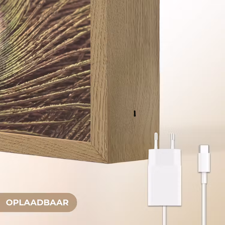 Pauw - Veren - Paars - Groen Light Box met batterij (Wandlamp) middel -USP_websiteoplaadbaarNL