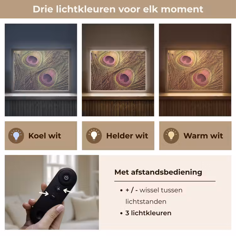 Pauw - Veren - Paars - Groen Light Box met batterij (Wandlamp) middel -USP_lichtkleurNL