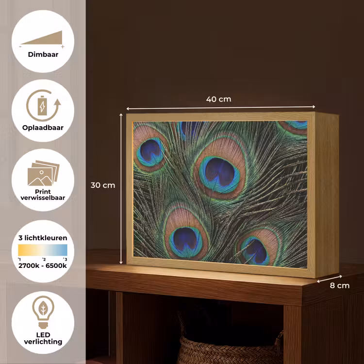 Pauwenveren - Klassiek - Groen Light Box met batterij (Wandlamp) middel -USP_websiteoverzichtNL