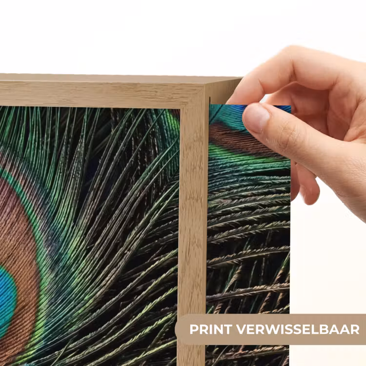 Pauwenveren - Klassiek - Groen Light Box met batterij (Wandlamp) middel -USP_websiteprintNL