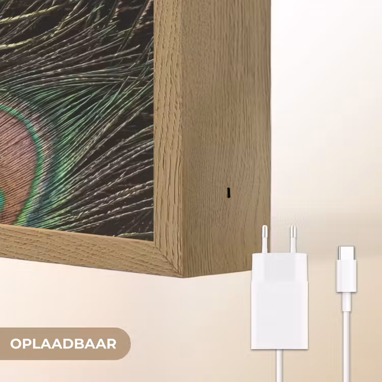 Pauwenveren - Klassiek - Groen Light Box met batterij (Wandlamp) middel -USP_websiteoplaadbaarNL