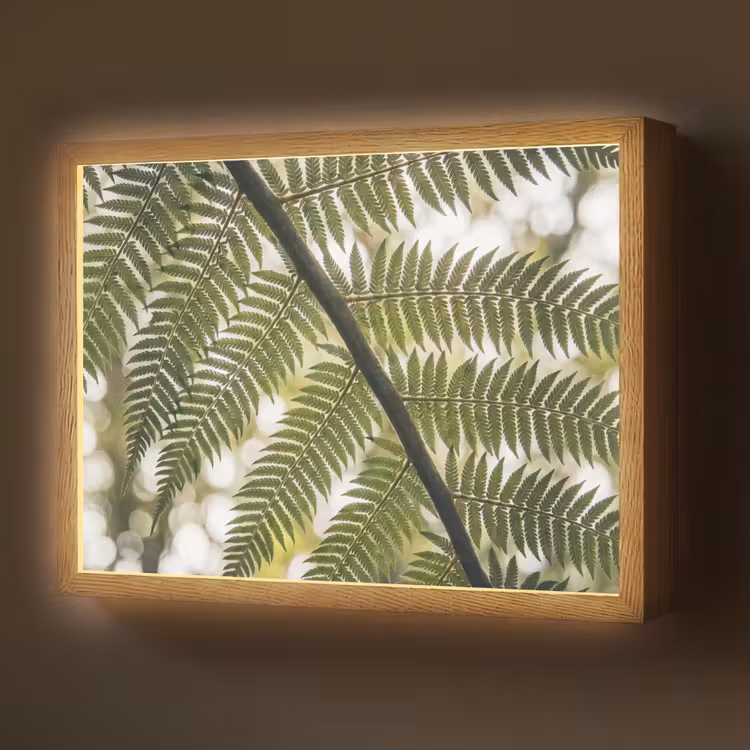 Plant - Blad - Natuur - Groen - Detail Light Box met batterij (Wandlamp) middel -z3d_website
