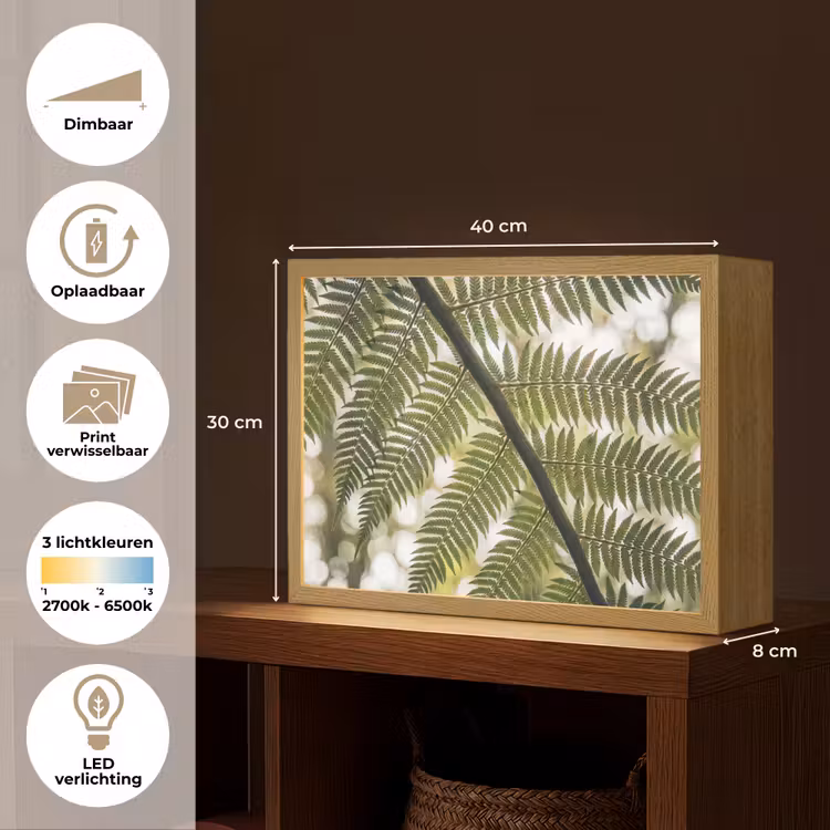 Plant - Blad - Natuur - Groen - Detail Light Box met batterij (Wandlamp) middel -USP_websiteoverzichtNL