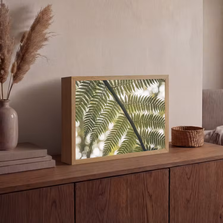 Plant - Blad - Natuur - Groen - Detail Light Box met batterij (Wandlamp) middel -sfeer2