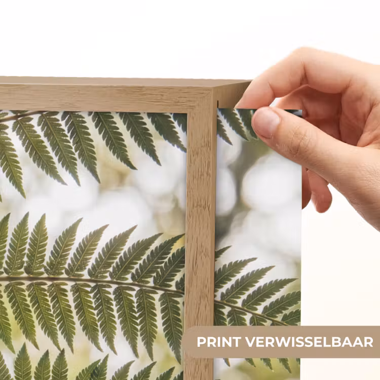 Plant - Blad - Natuur - Groen - Detail Light Box met batterij (Wandlamp) middel -USP_websiteprintNL