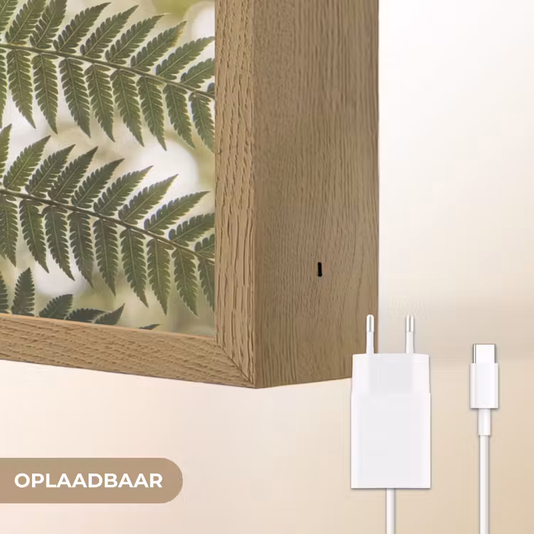 Plant - Blad - Natuur - Groen - Detail Light Box met batterij (Wandlamp) middel -USP_websiteoplaadbaarNL