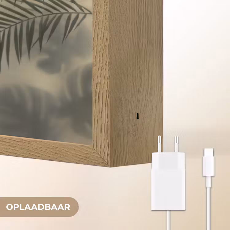 Planten - Bladeren - Schaduwen - Groen - Modern Light Box met batterij (Wandlamp) middel -USP_websiteoplaadbaarNL