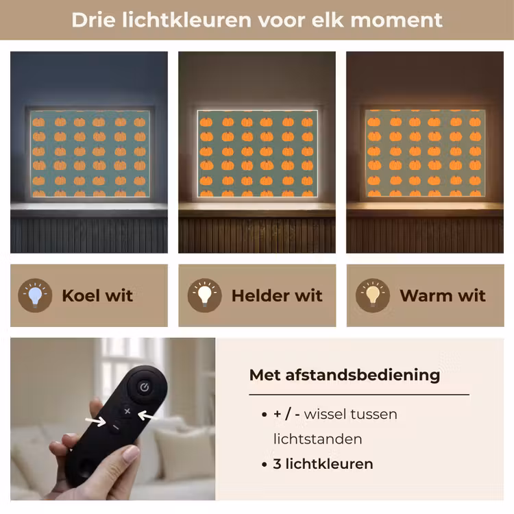 Pompoen - Patroon - Oranje Light Box met batterij (Wandlamp) middel 907 -USP_lichtkleurNL