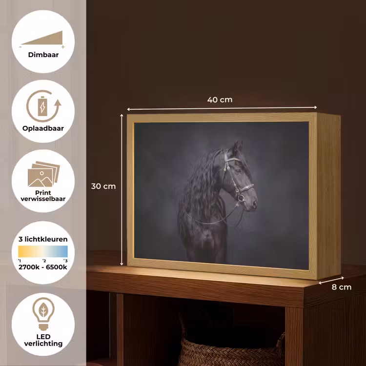 Portret - Paard - Donker Light Box met batterij (Wandlamp) middel -USP_websiteoverzichtNL