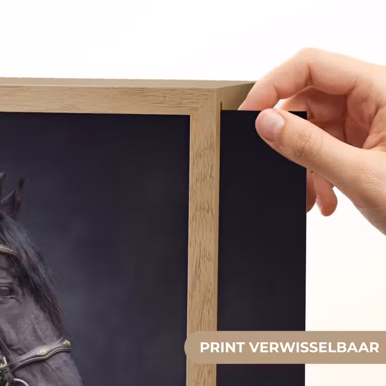 Portret - Paard - Donker Light Box met batterij (Wandlamp) middel -USP_websiteprintNL