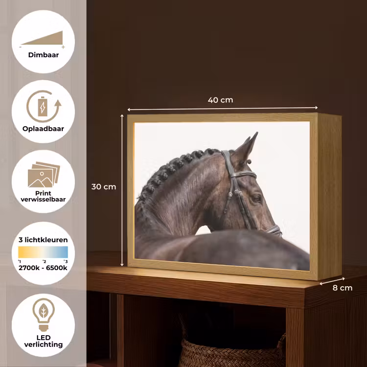 Portret - Paard - Elegant Light Box met batterij (Wandlamp) middel -USP_websiteoverzichtNL