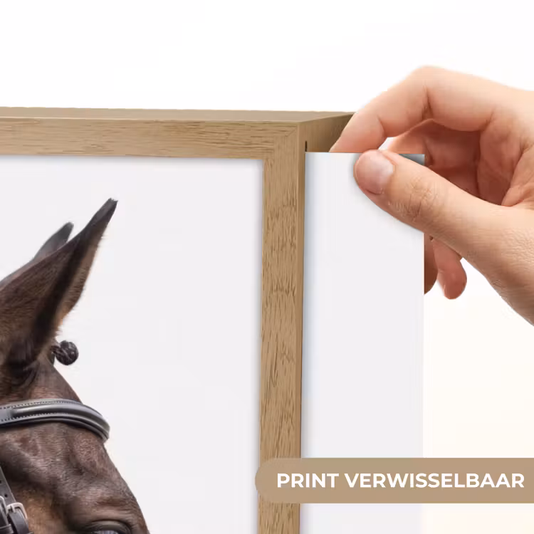 Portret - Paard - Elegant Light Box met batterij (Wandlamp) middel -USP_websiteprintNL