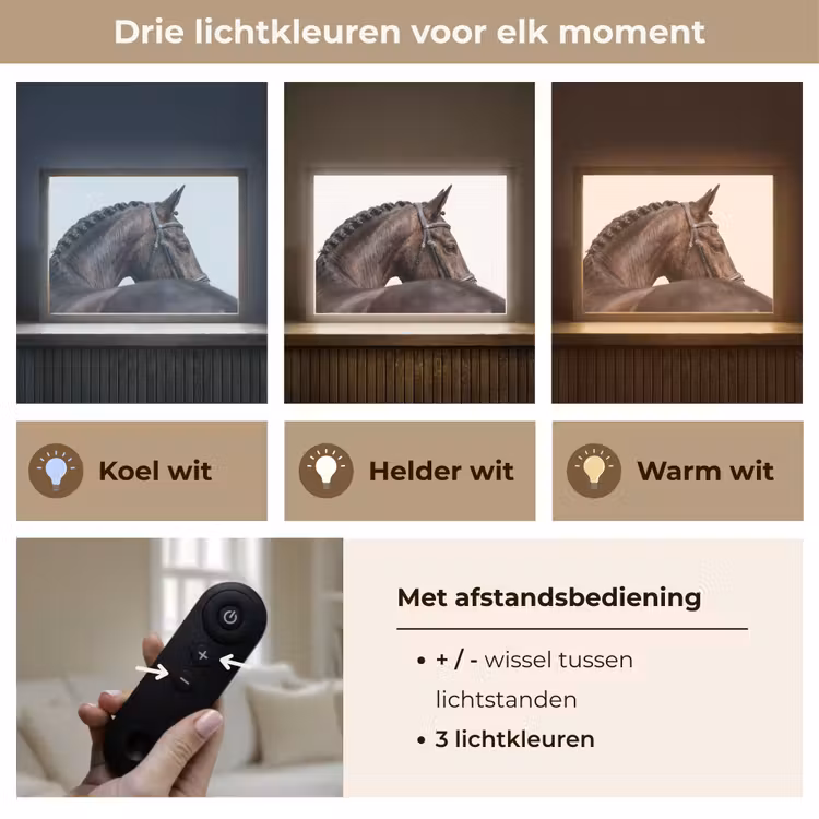 Portret - Paard - Elegant Light Box met batterij (Wandlamp) middel -USP_lichtkleurNL