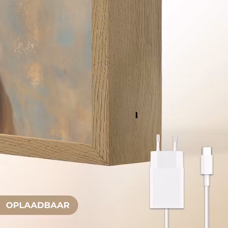 Portret - Vlinder - Kleurrijk Light Box met batterij (Wandlamp) middel -USP_websiteoplaadbaarNL