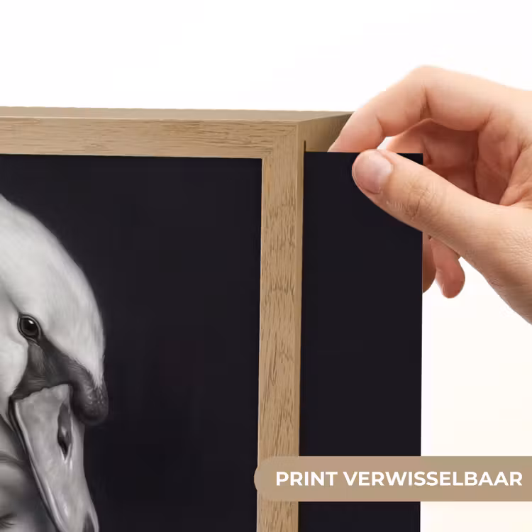 Portret - Zwaan - Zwart - Wit Light Box met batterij (Wandlamp) middel -USP_websiteprintNL