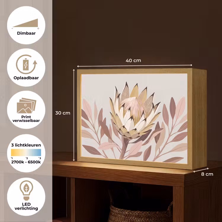 Protea - Bloem - Botanisch - Beige Light Box met batterij (Wandlamp) middel -USP_websiteoverzichtNL