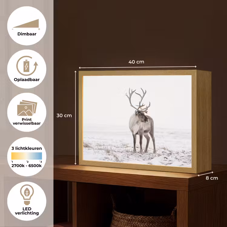 Rendier - Gewei - Sneeuw - Winter Light Box met batterij (Wandlamp) middel -USP_websiteoverzichtNL