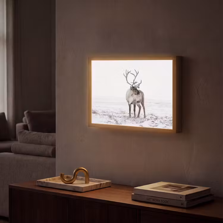 Rendier - Gewei - Sneeuw - Winter Light Box met batterij (Wandlamp) middel -sfeer1
