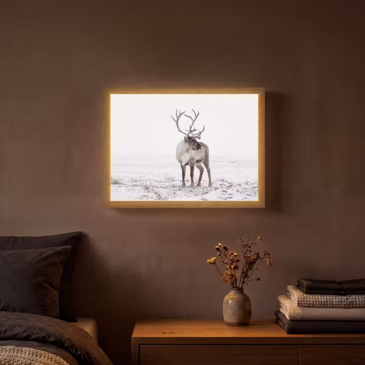 Rendier - Gewei - Sneeuw - Winter Light Box met batterij (Wandlamp) middel -sfeer4