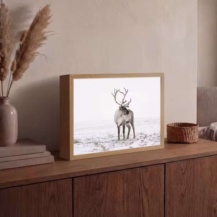 Rendier - Gewei - Sneeuw - Winter Light Box met batterij (Wandlamp) middel -sfeer2